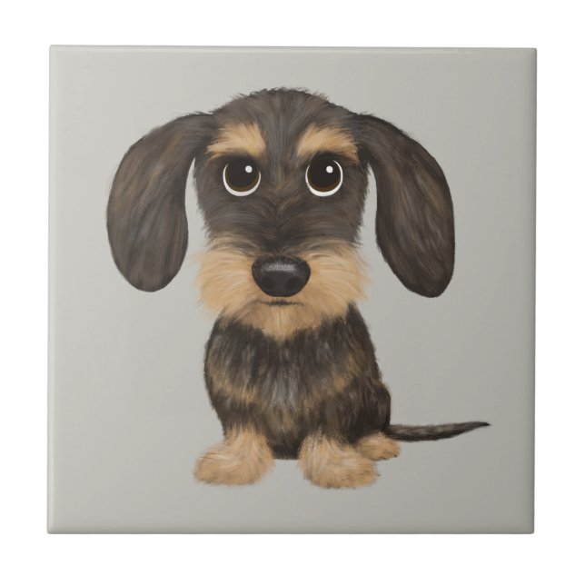 Wirehaired Dachshund | Cachorro de Cartoon Teckel (Frente)