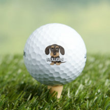 Wirehaired Dachshund | Nome Personalizado Teckel D