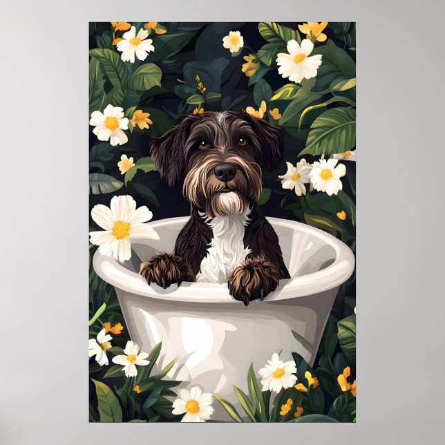 Wirehaired Pointing Griffon In Bathtub Poster (Frente)