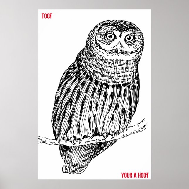 Wise Old Owl Poster (Frente)