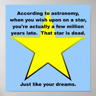 Wish Upon A Star Funny Poster Sign