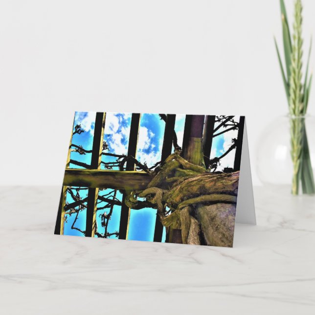 Wisteria, cartão (Frente)