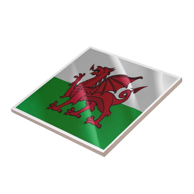 WLS002 PAREDES DE PALHEIROS, (Lateral)