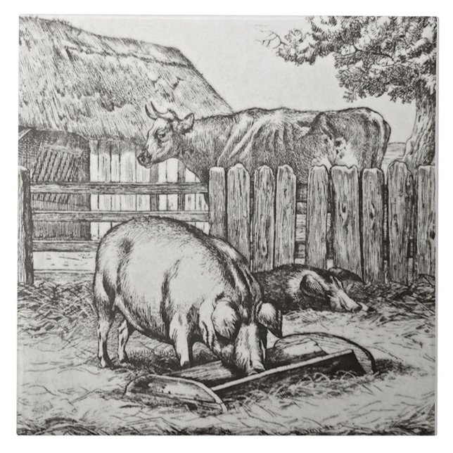 Wm Wise Minton Farm Animal Pigs Azulejo Repro c 18 (Frente)