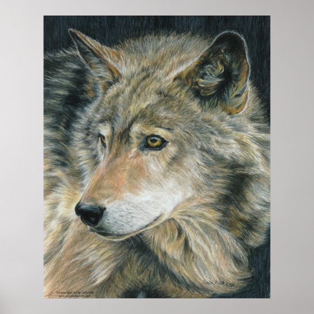 Wolf Art poster (Frente)
