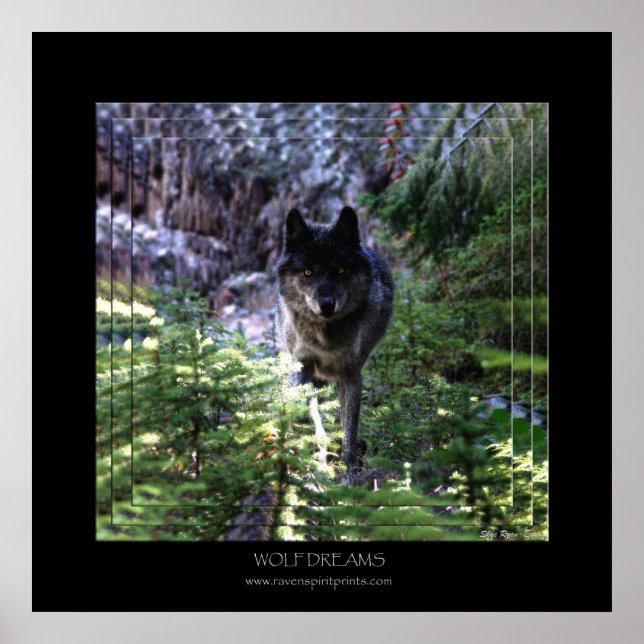 WOLF DREAMS Art Poster (Frente)