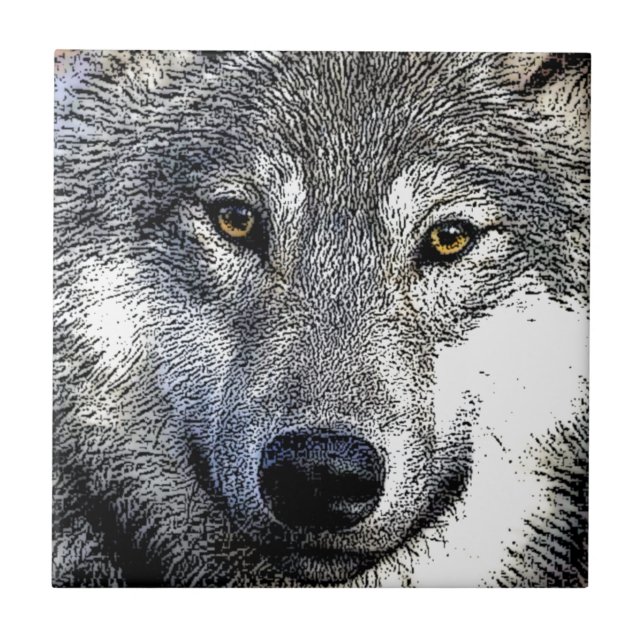 Wolf Eyes Trabalho de arte (Frente)