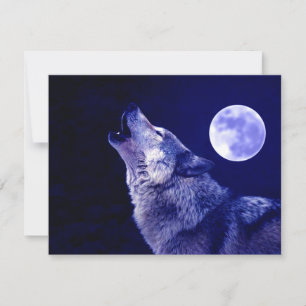 Wolf Howling na Lua