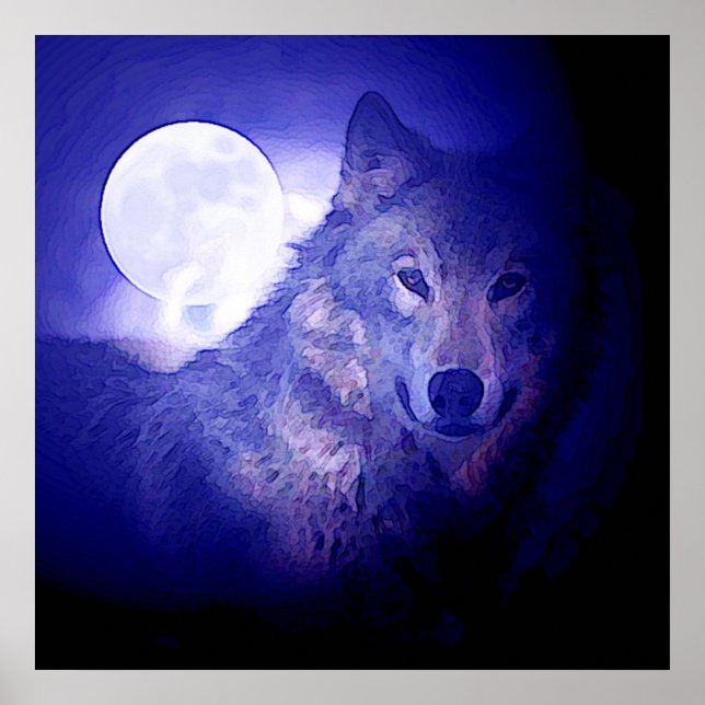 Wolf & Moon Square Poster Impressão Blue Night Wol (Frente)