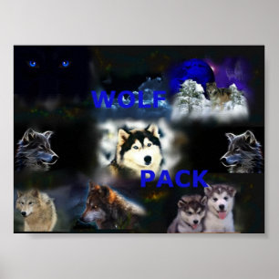 Wolf Pack poster