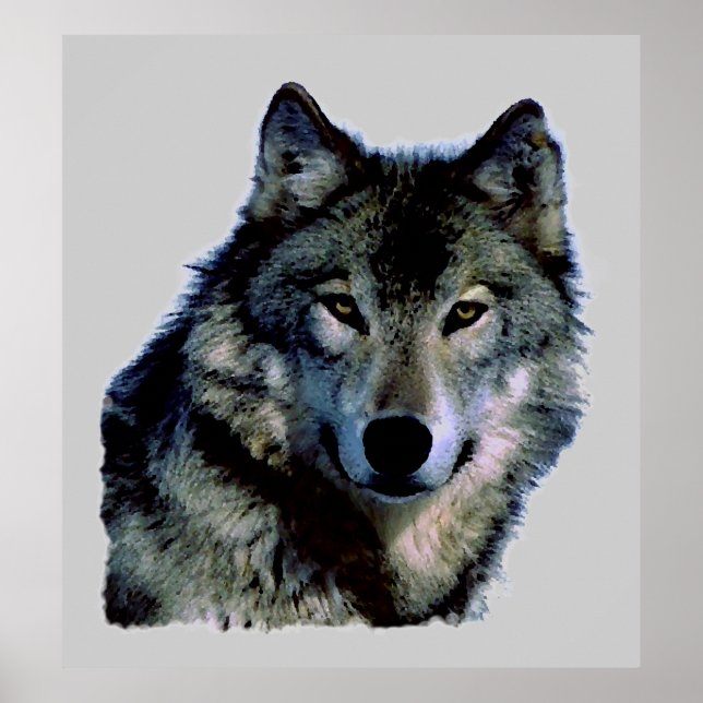 Wolf Portrait Poster (Frente)
