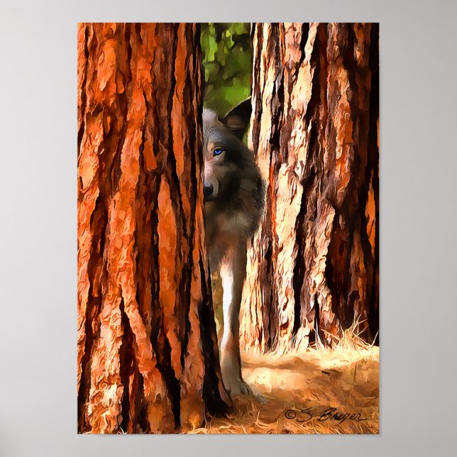 Wolf poster (Frente)