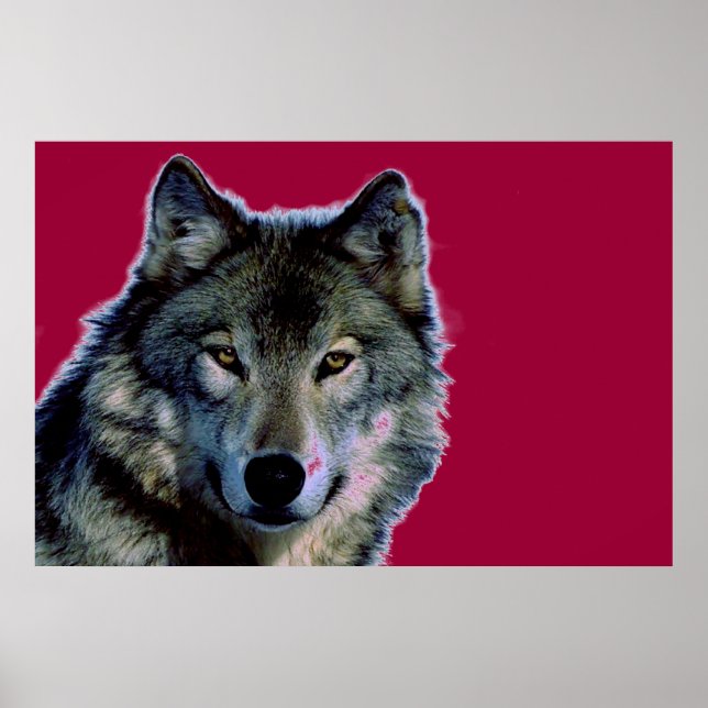 Wolf Poster (Frente)