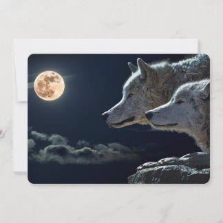 Wolf Wolves Howling na lua cheia à noite