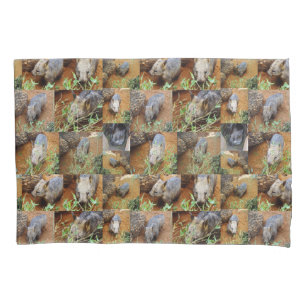 Wombat Photo Collage