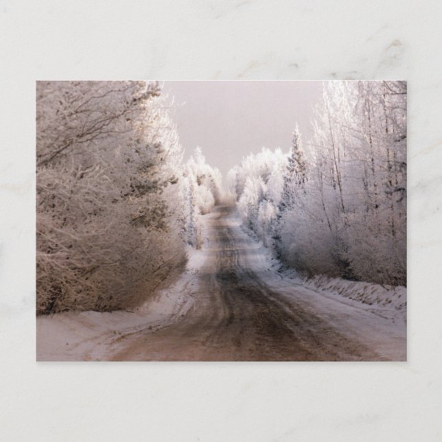 Wonderland de inverno - Cartão postal (Frente)