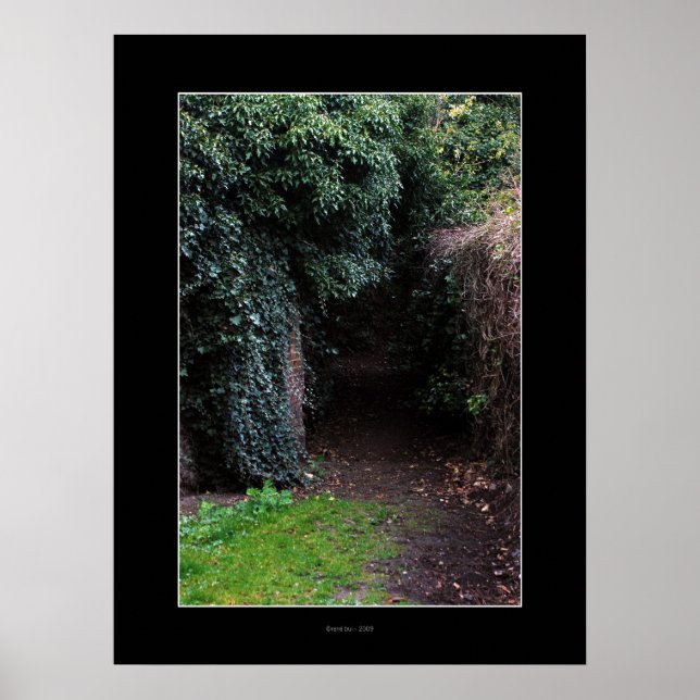 WONDERLAND Poster (Frente)