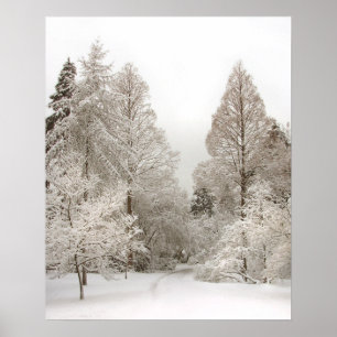 Wonderland Poster Winter Vancouver Impressão