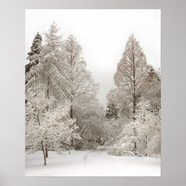 Wonderland Poster Winter Vancouver Impressão (Frente)