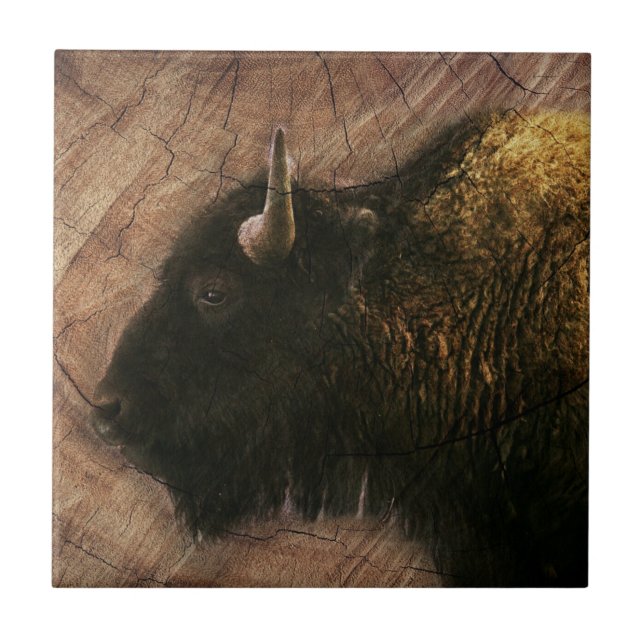 Wood Bison Buffalo (Frente)