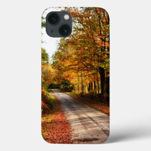 Wood trail with fall foliage