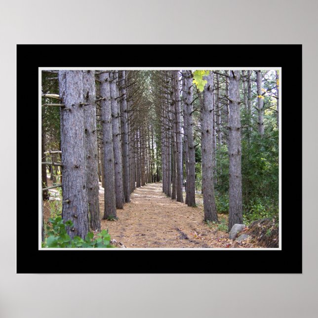 Wooded Path Poster (Frente)