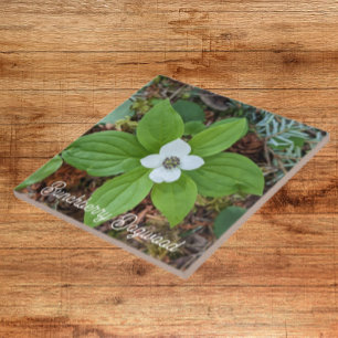 Woodland Bunchberry Dogwood Floral