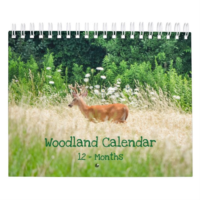 Woodland Cria Natureza Pequeno Calendário (Capa)