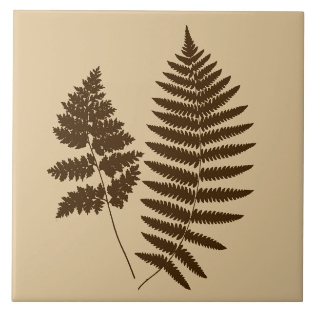 Woodland Fern, Beige e Brown Escuro (Frente)