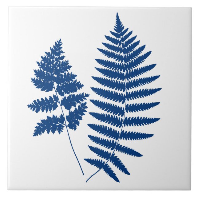 Woodland Fern, Cobalto Azul em Branco (Frente)