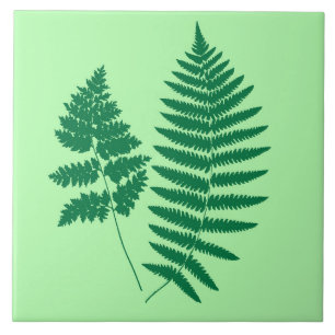 Woodland Fern, Emerald e Light Green
