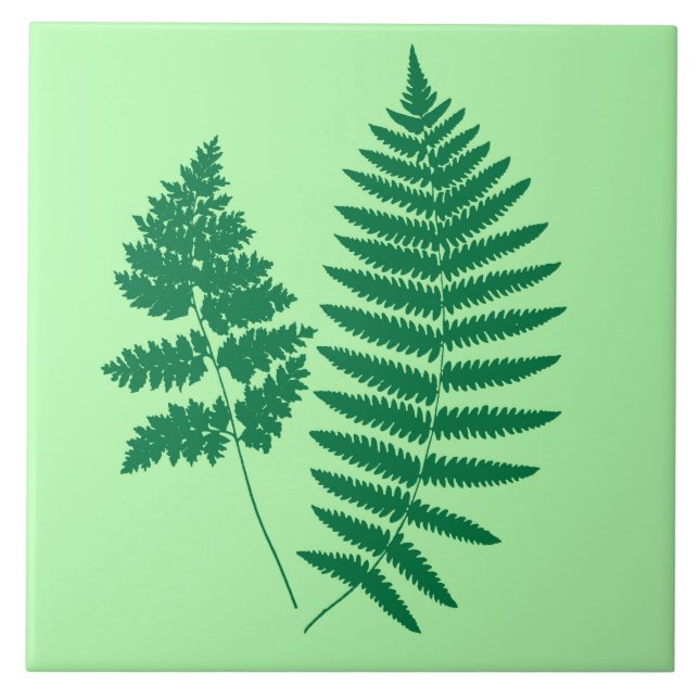Woodland Fern, Emerald e Light Green (Frente)