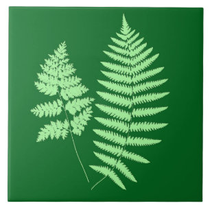 Woodland Fern, Emerald e Light Green