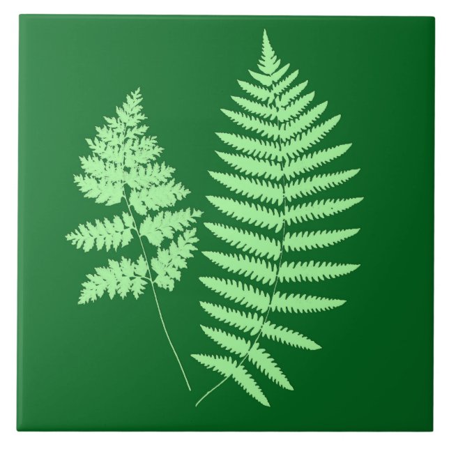 Woodland Fern, Emerald e Light Green (Frente)
