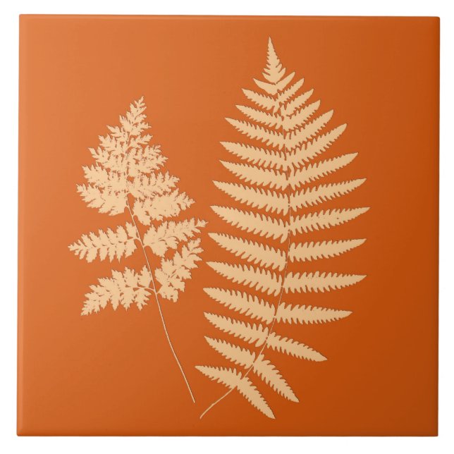 Woodland Fern, Mandarin e Pastel Orange (Frente)