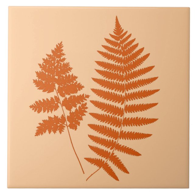 Woodland Fern, Pastel e Mandarin Orange (Frente)