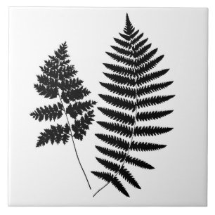 Woodland Fern, Preto e Branco 