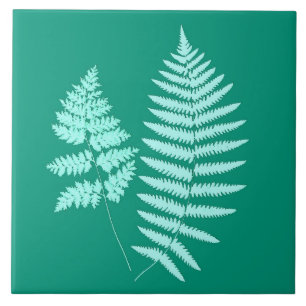 Woodland Fern, Turquesa e Aqua