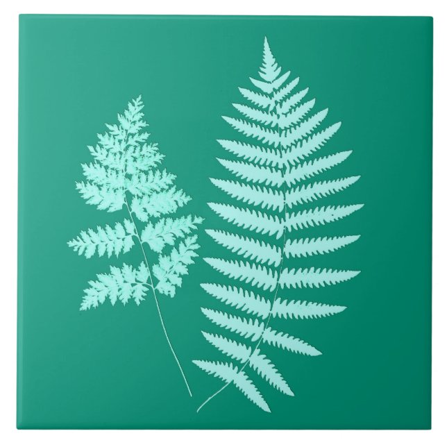 Woodland Fern, Turquesa e Aqua (Frente)