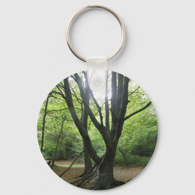 Woodland Sunshine Chaveiro (Frente)