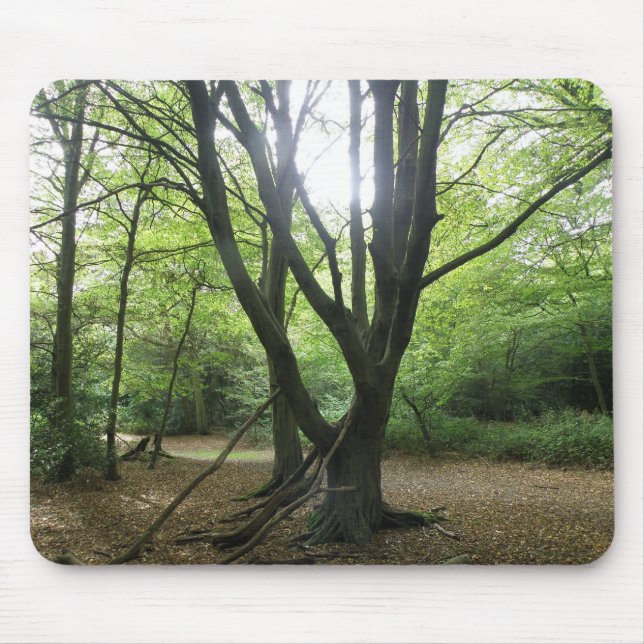 Woodland Sunshine Mousepad (Frente)