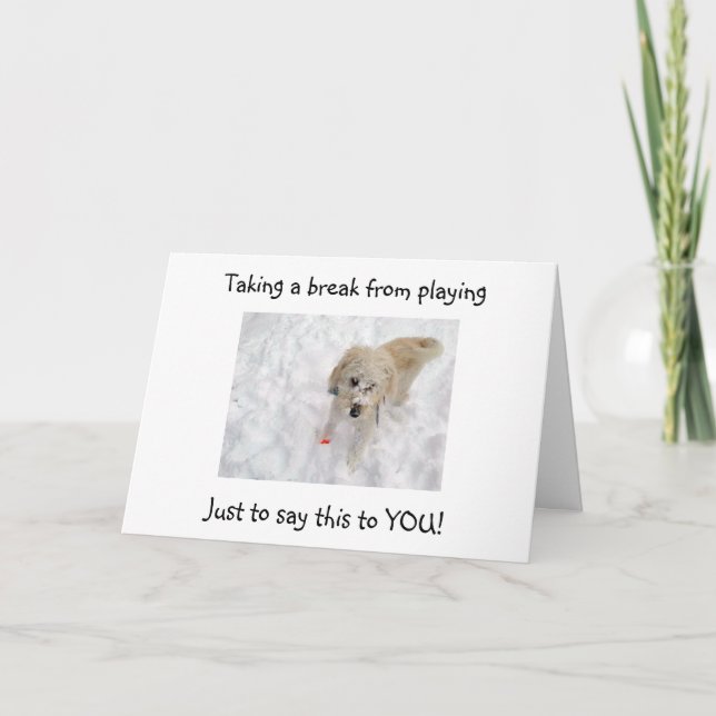 WOOF WOOF "50" PARECE BOM NO CARTÃO DE ANIVERSÁRIO (Frente)