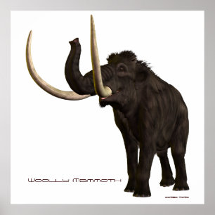 Wooly Mammoth Impressão
