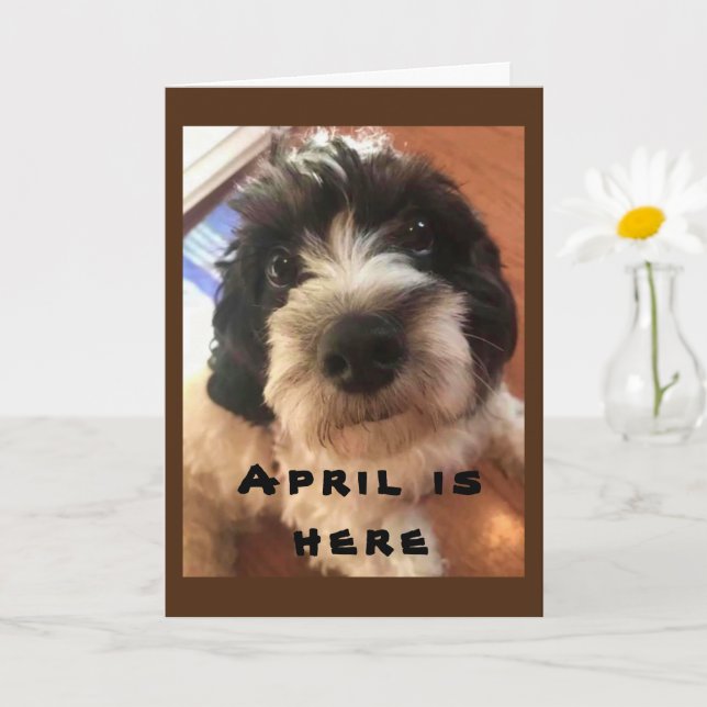 WOW/ARCO WOW É SUA **NAMORADO DE ABRIL!** CARTÃO (Planta pequena)