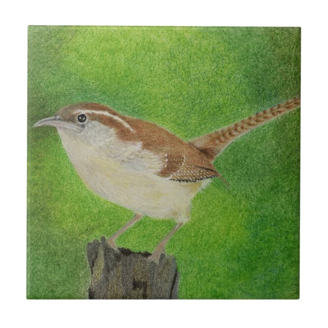 Wren (Frente)