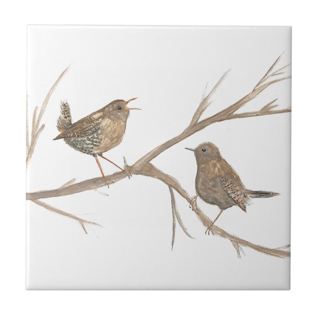 Wren Bird Willife Watercolor Art Cute (Frente)