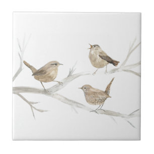 Wren Bird Willife Watercolor Art Cute