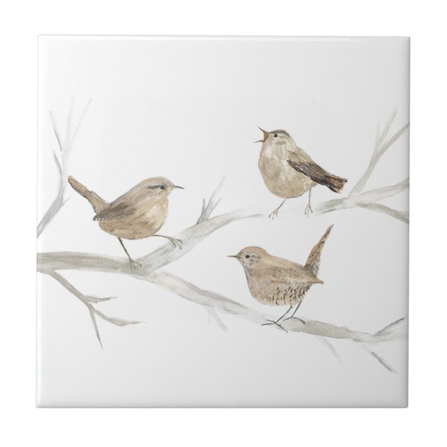 Wren Bird Willife Watercolor Art Cute (Frente)