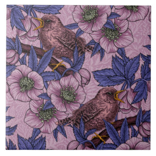 Wren e hellebore, rosa e violeta
