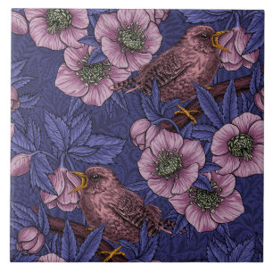 Wren e hellebore, violeta e rosa